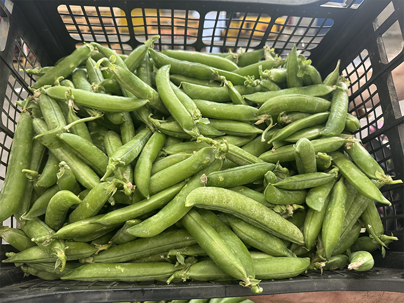 Piselli in cassa locali 4,20 € al chilo
